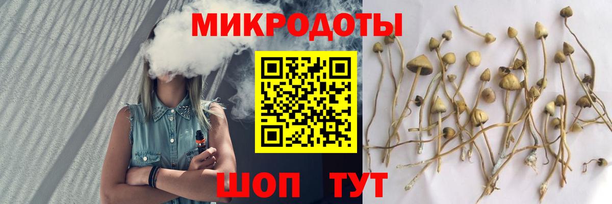 Медногорск  Галлюциногенные грибы мухоморы  Вход с VPN 
